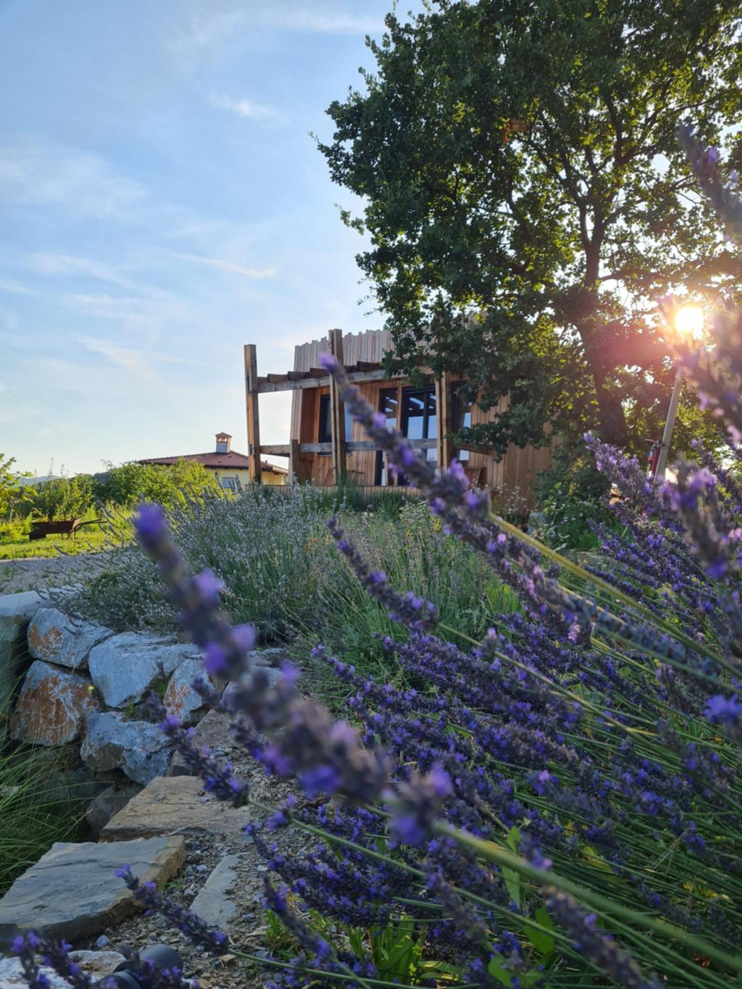 Panorama Glamping Vipavska Dolina Apartamento Dobravlje Exterior foto